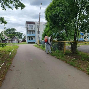 В Осташковском округе борются с борщевиком