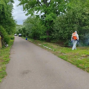 В Осташковском округе борются с борщевиком