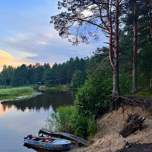 Тихий вечер у кромки леса