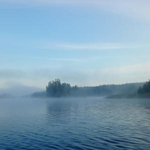 Туманное утро над водой